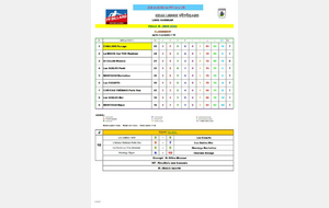 Classement poule D journée 10 (libre)