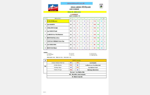 Classement journée 14 poule D (catégorie libre vétérans).